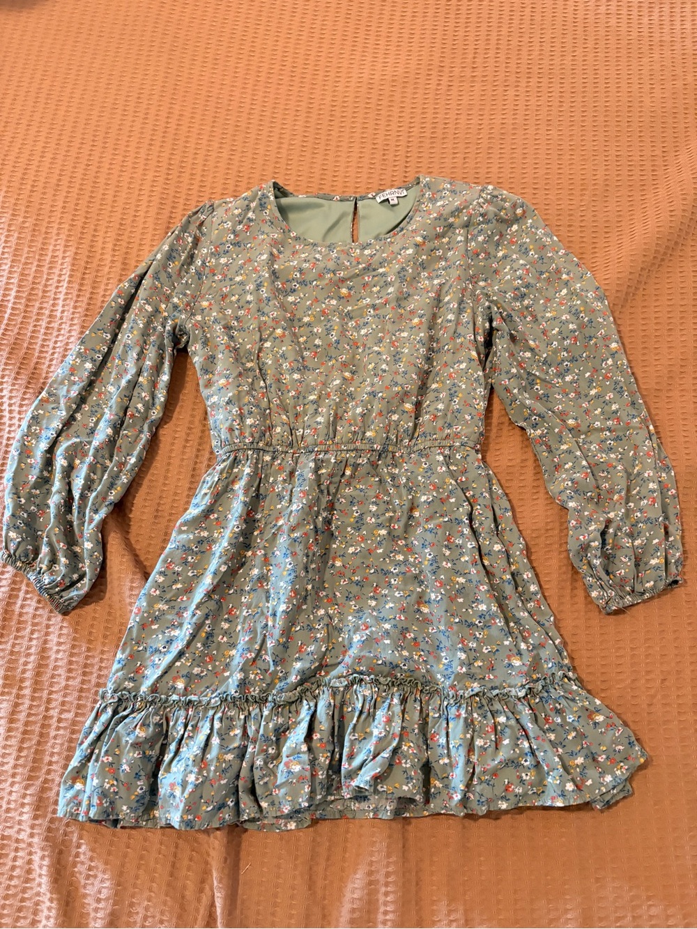 Floral Long-Sleeve Mini Dress in Sage Green